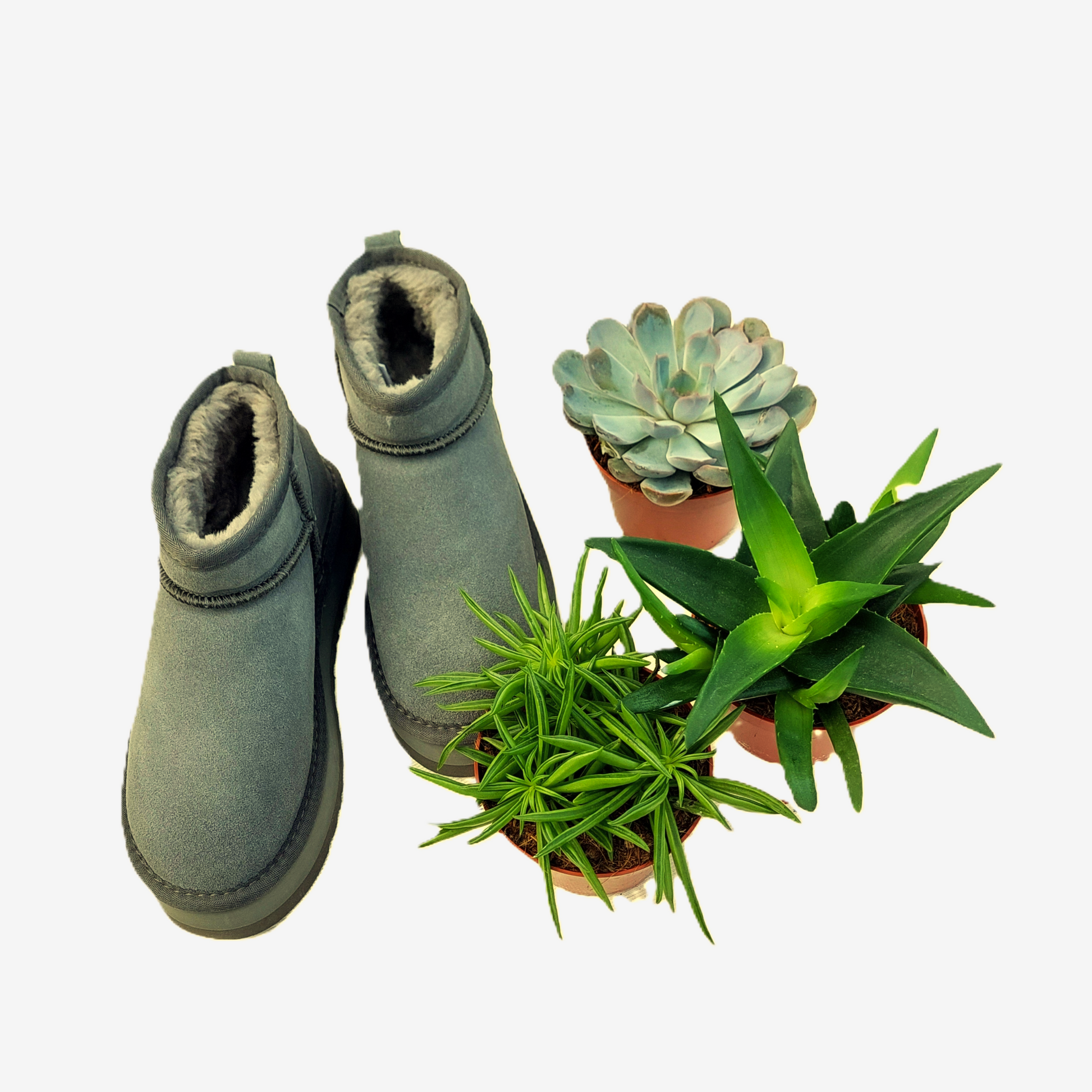 UGG Ultra Mini plattformsskor i grön nyans jämförs med krukväxters bladfärg.