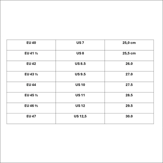 Size chart for Salomon XT-Wings shoes showing EU and US sizes with centimeter measurements.